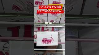 【クレーンゲーム】ハイエナちゃんねる！ここでやるの勿体無い！絶対にやめるのダメ！【ベネクス浦和】（お菓子）