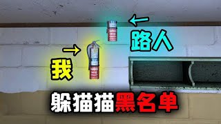 CSGO躲猫猫：史上最蠢的配合大师，路人连夜把我写进黑名单