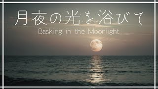 【睡眠BGM】月夜の光を浴びて｜深い睡眠へ誘う睡眠導入音楽｜5分後に暗転｜疲労回復｜Relaxing \u0026 Healing Music