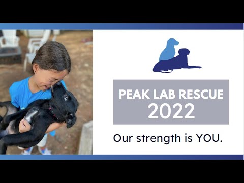 Peak Lab Rescue 2022 Retrospective Youtube