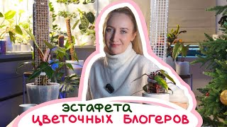 ЭСТАФЕТА Цветочных блогеров | ОПОРА для филодендрона