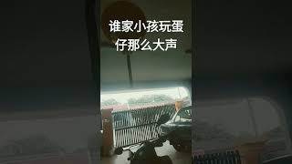 #求火 #蛋仔派對 #求订阅 谁家小孩玩蛋仔那么大声