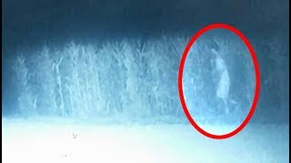 A Trail Camera Set Up In A Corn Field Captured This And The Owner Has No Idea What It Is