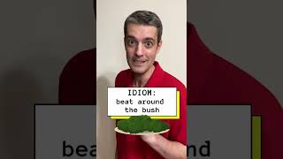 IDIOM: beat around the bush [English Micro-Lesson]