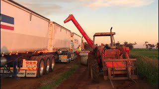 Unloading barley out of grain bag. Gone wrong**