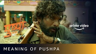 Pushpa Flower Nahi Fire Hai! | Pushpa: The Rise | Allu Arjun's Best Dialogue #shorts