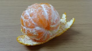 みかんアート「かたつむり」作り方　How to Make a Tangerine Snail