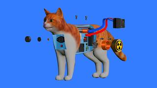 How to make a cat