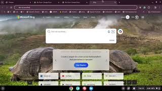 How to unblock javascript/bookmarklets on school chromebook