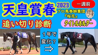 天皇賞春2023一週前追い切り診断！タイトルホルダーは昨年と体形が変わったように見えるが？思わぬ伏兵馬が状態の良さが急上昇しており面白くなってきた！