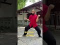 Chen-style Tai Chi Cannon Fist (Er Lu Pao Chui) #kungfu #magic #dance