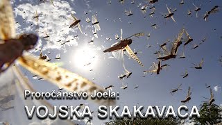 Proročanstvo Joela: VOJSKA SKAKAVACA (Nebojša Đurić)