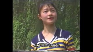 客家山歌：湯明哲，童愛娜演唱《有情妹子托夢來》