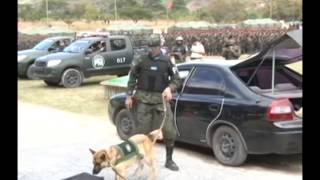 Fuerzas Armadas cuenta con el Primer Batallón Canino