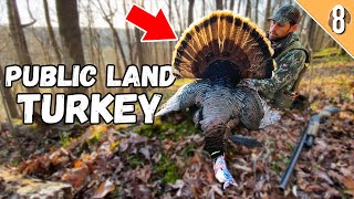 ILLINOIS PUBLIC LAND GOBBLER!!! - (3 Day Hunt for a TOUGH Turkey!)