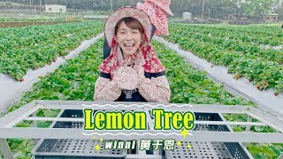 Lemon Tree Cover By 黃于恩 溫妮