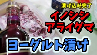 #779【狩猟】アライグマとイノシシの肉をヨーグルトと赤ワインに漬けて食べてみた