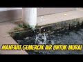 MANFAAT GEMERCIK AIR UNTUK MURAI