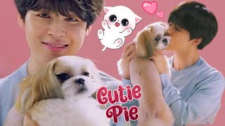 BTS PLAY WITH dogs 🐶 #dogs  #cutelife