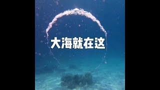 201604 大海就在这21821