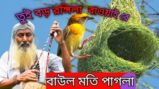 মতি পাগলার গান তুই বড় রঙ্গিল বাওয়াইরে #sns1media #baul gaan