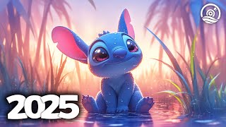 Music Mix 2025 🎧 EDM Mixes of Popular Songs 🎧 EDM Bass Boosted Music Mix #311