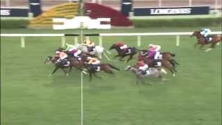 [HKIR 2014] BLAZING SPEED lands the LONGINES Jockey Club Cup 2014