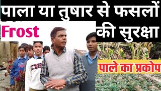 पाला या तुषार से फसलों की सुरक्षा (Crop Protection From Frost)