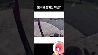 아무도 예상치 못했던 복병 ㅋㅋㅋ