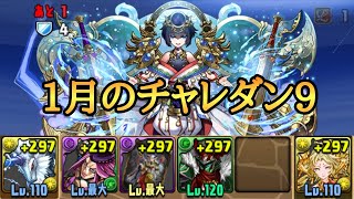 【チャレダン9】1月のチャレンジダンジョン9をキリンで攻略【パズドラ】