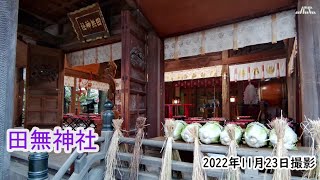 【4K】田無神社・イチョウ（2022年11月23日）