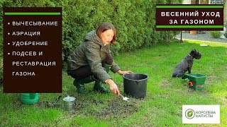 Весенний уход за газоном//вычесывание, аэрация, удобрение, подсев и реставрация газона