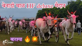 💥बेनाडी माळ HF deluxe मैदान💥🥇गुंडेवाडी बारश्या \u0026 सोन्या benadi HF deluxe maidan \u0026 #harnya #sharyat