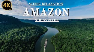 Amazon 4K -  Scenic Relaxation Film with Calming Music | The worlds Largest Tropical Rain Forest