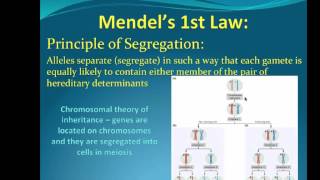 AGRI 305 - Prep Lecture Chapter 3