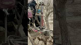 Mechanized process of tree removal in agricultural areas