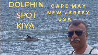 Dolphin spotting at cape may - Victorian town of New Jersey USA