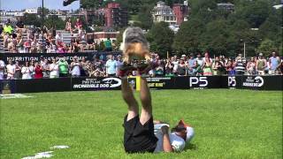 Freestyle Disc 1st Place - Incredible Dog Challenge 2015 Boston, MA