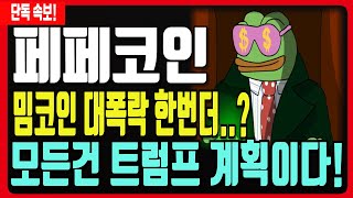 [페페코인 전망] 트럼프 밈코인이후 밈코인 대폭락장!! 모든건 트럼프 계획대로다!? 이상태면 \