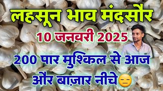 मंदसौर मंडी आज का लहसुन का भाव 10 जनवरी 2025 | Lahsun ka bhav | Mandsaur Mandi lahsun bhav #mandsaur