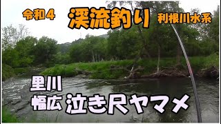 令和４ 渓流釣り  利根川水系  里川幅広 泣き尺ヤマメ