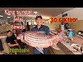 KING SUNGAI JELAI TEMOLEH/TEMELIAN 30.6 KILO TEWAS