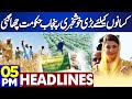 Good News For Farmers | Smog Ends | Artificial rain in Islamabad | 5PM Headlines | School Holidays