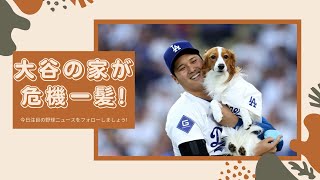 大谷翔平、愛犬デコピンと共に緊急避難⁉︎ LA山火事で豪邸が危機！現地映像で判明した衝撃の真相とは ! !