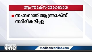 കാട്ടുപന്നികളിൽ ആന്ത്രാക്‌സ് രോഗബാധ; അതിരപ്പിള്ളിയിൽ പന്നികൾ കൂട്ടത്തോടെ ചത്തു