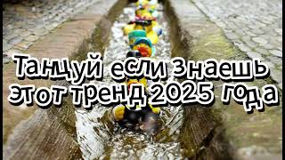 🤍Танцуй если знаешь этот тренд 2025 года🤍