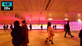 4K 世界一巨大な新宿駅の東西自由通路 定点映像 巨大スクリーン | Shinjuku | 2022年12月 | 東京倍速散歩