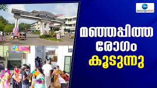 Jaundice Cases | സംസ്ഥാനത്ത് മുൻ വർഷങ്ങളെ അപേക്ഷിച്ച് മഞ്ഞപ്പിത്ത രോഗം കൂടുന്നതായി റിപ്പോർട്ട്