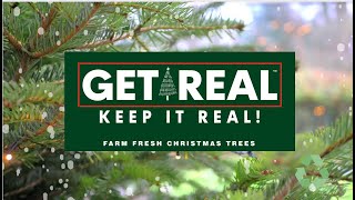 Rediscover Authentic Christmas: The Magic of Real Trees