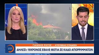 3 συλλήψεις για εμπρησμούς σε Δήλεσι, Γιάννενα και Μεσσηνία | Ethnos